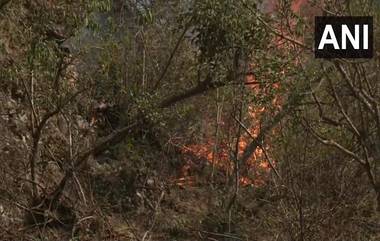 J&K: জম্মু কাশ্মীরে কাটরার জঙ্গল জ্বলছে, আগুন নেভানোর চেষ্টা অব্যাহত