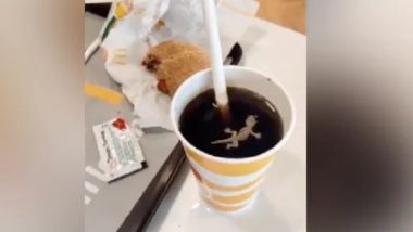 Dead Lizard In McDonald's Soft Drink: ম্যাকডোনাল্ডসের নরম পানীয়তে মরা টিকটিকি! ভিডিও ভাইরাল হতেই আউটলেট সিল করা হল
