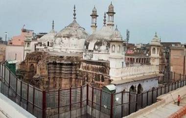 Gyanvapi Mosque: জ্ঞানবাপী মসজিদে শিবলিঙ্গ নিয়ে অপমানজনক মন্তব্যের অভিযোগ, গ্রেফতার এআইএমআইএম নেতা