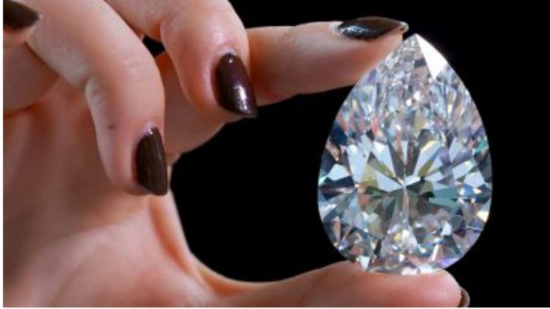 World's Largest White Diamond: নিলামে বিক্রি হল বিশ্বের বৃহত্তম সাদা হীরে দ্য রক,  দেখুন ভিডিও