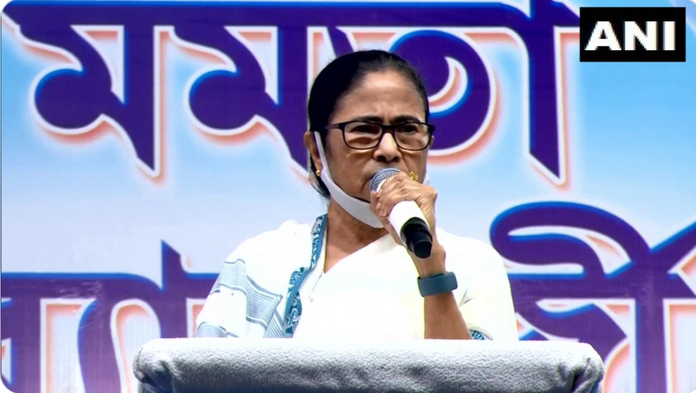 Mamata Banerjee Slams BJP: ভোট এলেই মানুষকে বোকা বানাতে পৃথক রাজ্য, উজ্জ্বলা যোজনা; বিজেপিকে বিঁধলেন মমতা