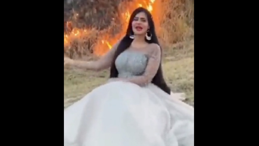 Pakistani TikToker: বনে আগুন লাগিয়ে টিকটক ভিডিও করে বিতর্কে পাক সুন্দরী, দেখুন ভিডিও