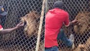 Lion Bites Off Man's Finger: সিংহের খাঁচায় হাত ঢুকিয়ে কামড় খেলেন যুবক ( ভাইরাল ভিডিও)