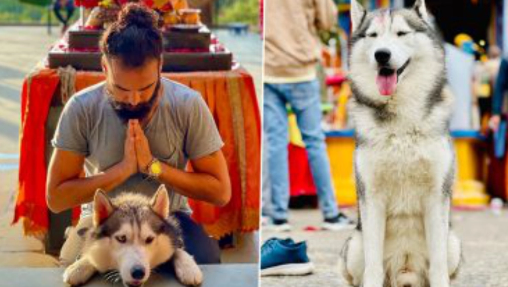 Noida Man Takes Pet Dog To Kedarnathপোষ্য কুকুরকে নিয়ে কেদারনাথ দর্শন