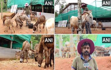 Karnataka: তথ্যপ্রযুক্তির চাকরি ছেড়ে লাখ লাখ টাকা খরচ করে গাধা পুষছেন এই ব্যক্তি! কেন?