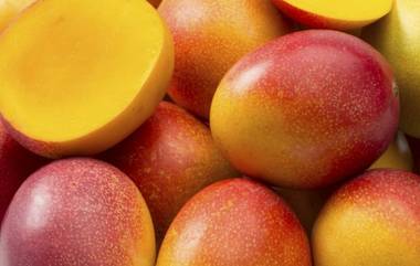 Mangoes Worth Rs 2.5 lakh Per Kg: প্রতি কেজি আমের দাম আড়াই লাখ টাকা! কোথায় বিক্রি হচ্ছে?