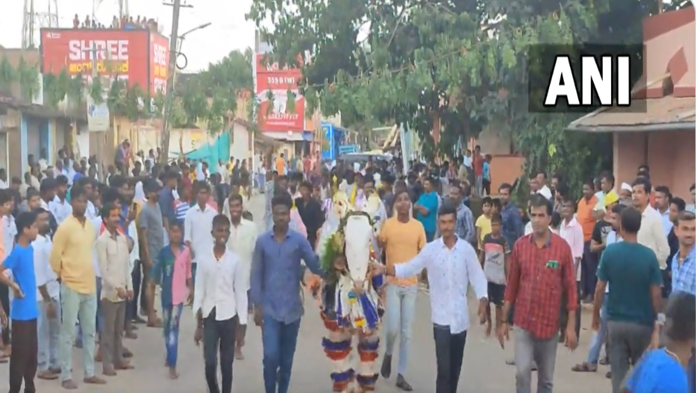 Karnataka: বর্ষার আগমনে কর্ণাটকে কৃষকদের উদযাপন (দেখুন ভিডিও)