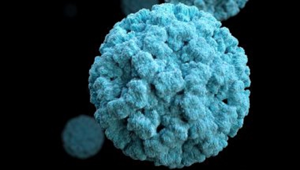 Norovirus in Kerala: নরোভাইরাসের হানাদারি কেরলে, আক্রান্ত ২ পড়ুয়া, এই ভাইরাসের উপসর্গ এবং প্রতিকার কী