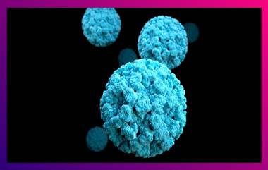 H3N2 Virus Hits Uttar Pradesh: কোভিডের মত উপসর্গ, কানপুরে বাড়ছে H3N2 Virus-এর দাপট, হাসপাতালের বাইরে লম্বা লাইন