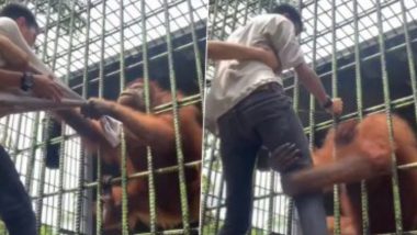 Orangutan Grabs Man Tightly: উত্ত্যক্ত করার ফল, যুবককে শক্ত করে ধরে রাখল ওরাংওটাং ( ভাইরাল ভিডিও)