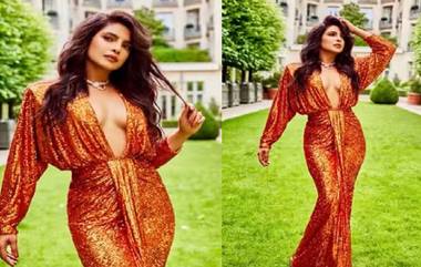 Priyanka Chopra: প্রিয়াঙ্কার 'গ্ল্যামারাস' অবতার, উদ্বেল নেটিজেনরা