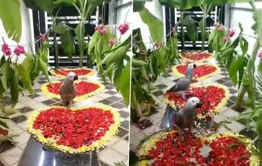 Man Finds Missing Pet Parrot: হারিয়ে যাওয়া তোতাপাখি খুঁজে দিয়ে ৮৫ হাজার টাকা পুরস্কার পেলেন এক ব্যক্তি