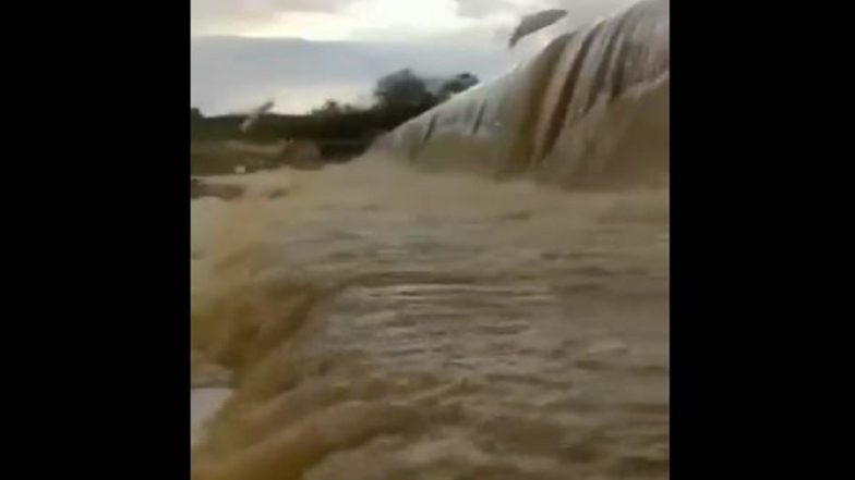 Congo flood: কঙ্গোয় ভয়াবহ বন্যায় মৃত ৪০০