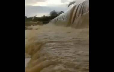 Pakistan Floods: বন্যায় ব্যর্থ প্রশাসন, পাকিস্তানে মৃত্যু বেড়ে ১৩০০