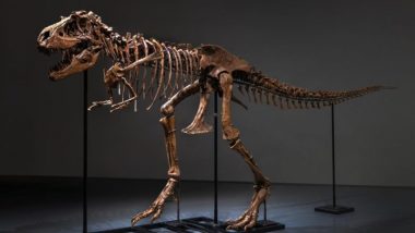 Gorgosaurus Skeleton Auction: নিলামে ৬.১ মিলিয়ন মার্কিন ডলারে বিক্রি হল বিশাল গর্গোসরাসের কঙ্কাল
