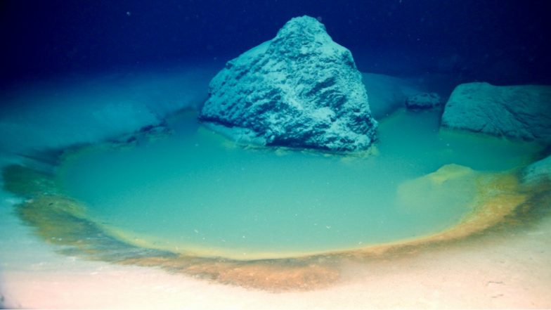 Deadly Pool At Bottom Of Red Sea: লোহিত সাগরের তলদেশে একটি প্রাণঘাতী পুল, নামলেই মৃত্যু অবধারিত