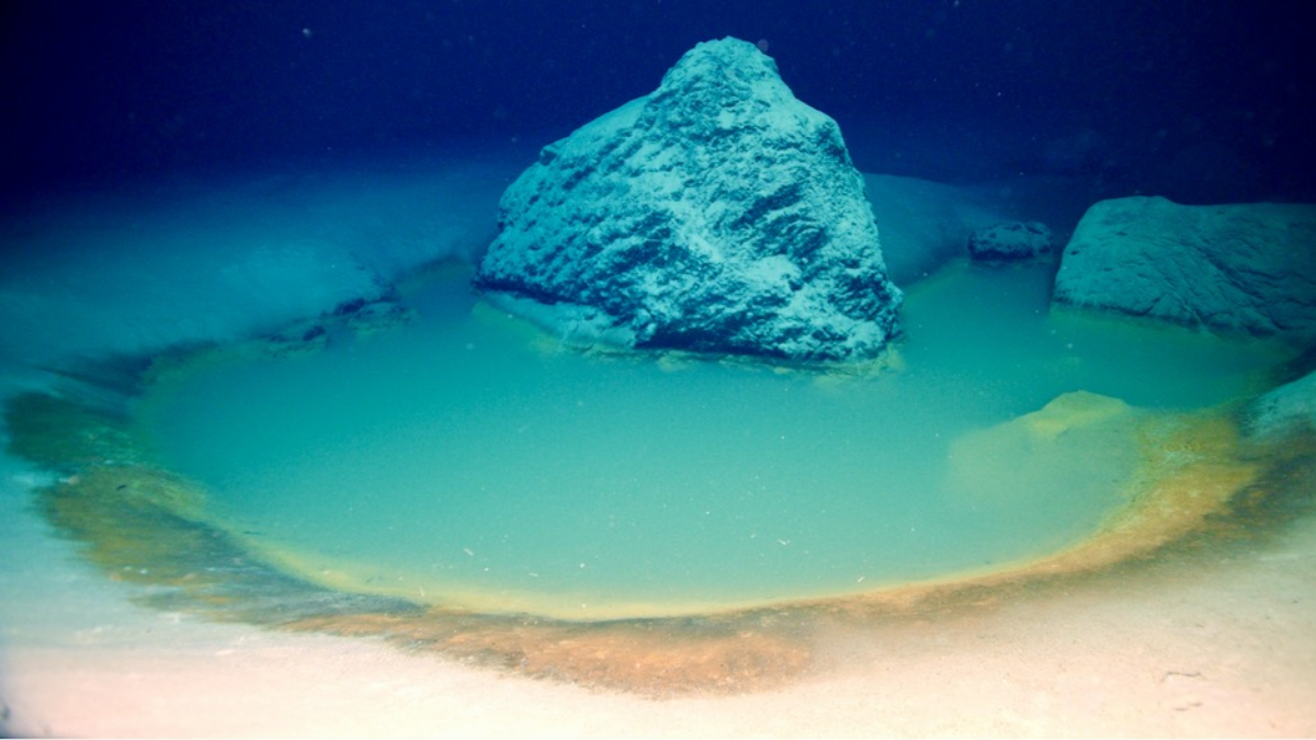 Deadly Pool At Bottom Of Red Sea: লোহিত সাগরের তলদেশে একটি প্রাণঘাতী পুল, নামলেই মৃত্যু অবধারিত
