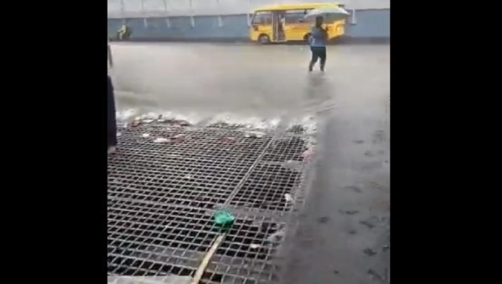 Heavy Rain Maharashtra: বৃষ্টিতে বিপর্যস্ত মহারাষ্ট্র, বন্ধ স্কুল কলেজ