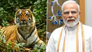 International Tiger Day 2022: আন্তর্জাতিক বাঘ দিবসে ব্যাঘ্র প্রকল্পের সঙ্গে জড়িতদের প্রশংসায় পঞ্চমুখ প্রধানমন্ত্রী, কী বললেন তিনি?
