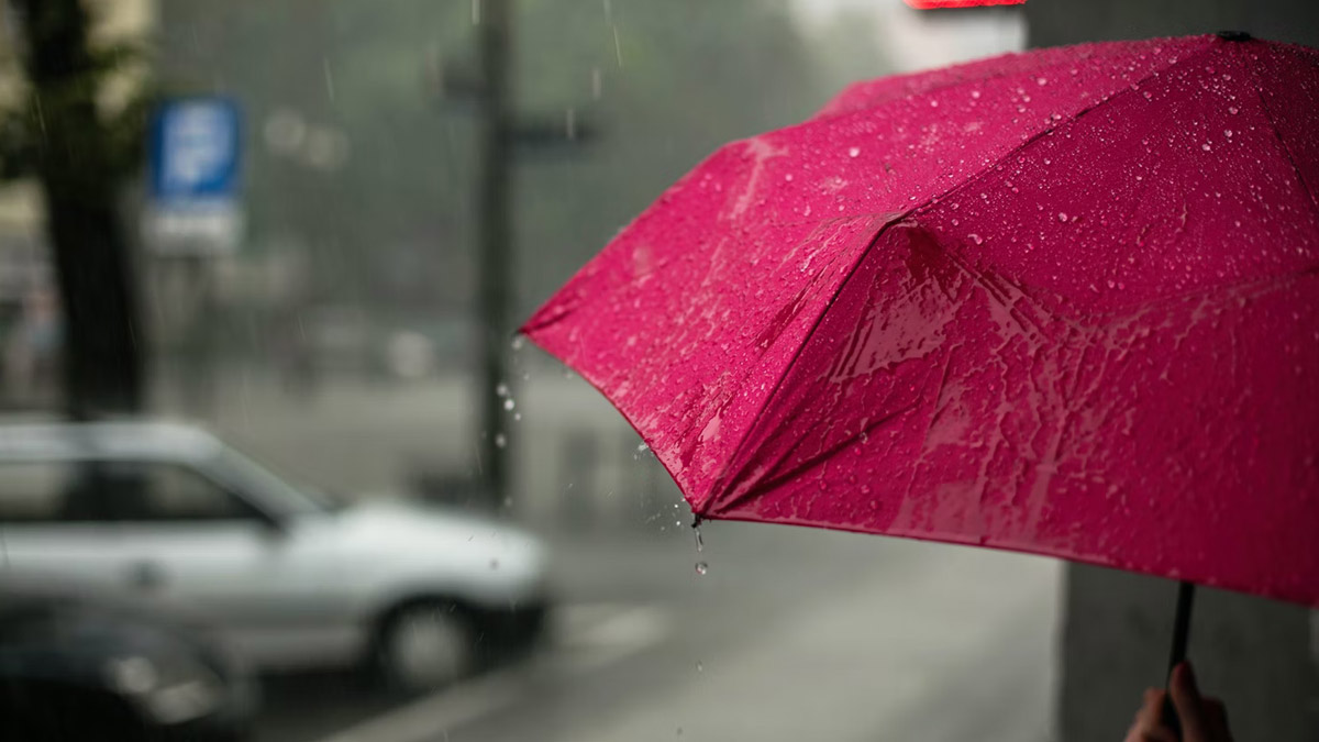 Monsoon In West Bengal: রাজ্যজুড়ে শুরু বৃষ্টি, মুম্বইতে জারি সতর্কতা; গুজরাতে বন্যা পরিস্থিতি