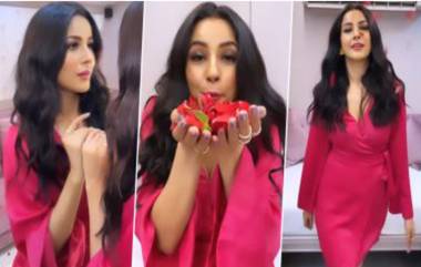 Shehnaaz Gill Plays With Rose Petals: গোলাপ পাপড়ি ছুঁড়ে গোলাপি ড্রেসে রিল মাতালেন শেহনাজ গিল (দেখুন ভিডিও)