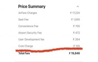 IndiGo Charges 'Cute Fee' From a Passenger!: যাত্রীর থেকে ১০০ টাকা ‘Cute Fee’ ফি নিল ইন্ডিগো বিমান সংস্থা, নেটপাড়ায় কলরোল