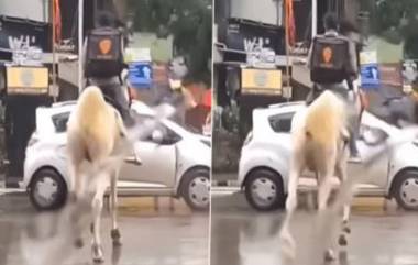 Viral: ভারী বর্ষণের মধ্যে ঘোড়ায় চড়ে খাবার ডেলিভারি করছেন স্যুইগি বয়, ভাইরাল ভিডিও