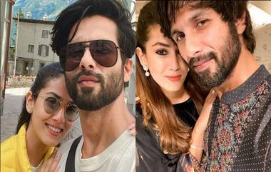 Shahid Kapoor and Mira Rajput: সাত পাঁকে বাধা পড়ার সাত বছরে ভালবাসায় ভরা ছবি পোস্ট মীরার, মীরাকে লেজেন্ড আখ্যা দিলেন শাহিদও