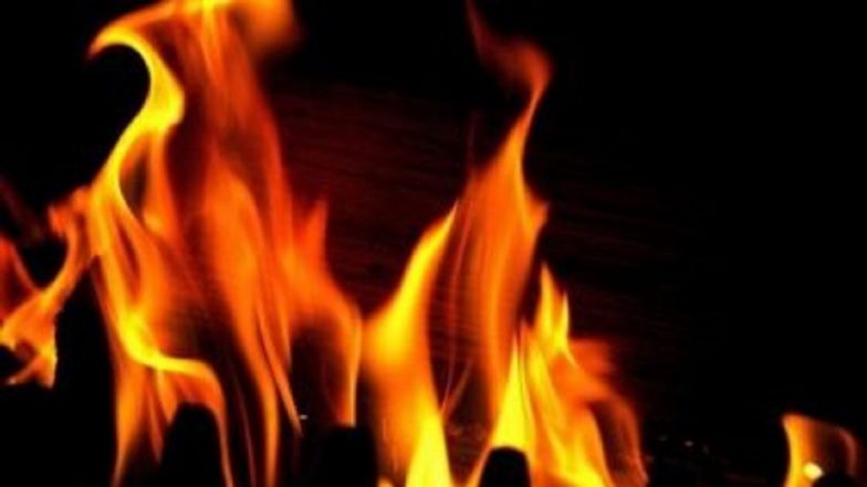 School Bus Catches Fire: কলকাতায় চলন্ত স্কুলবাসে আগুন, কপাল জোরে বাঁচলেন চালক ও খালাসি