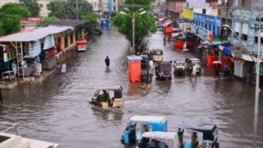 Flood In Pakistan: বন্যা মোকাবিলায় আন্তর্জাতিক মহলের সাহায্য চাইতে চলেছে পাকিস্তান