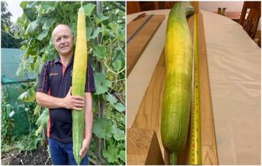 World's Longest Cucumber: বিশ্বের সবচেয়ে লম্বা শসা ফলিয়ে গিনেস ওয়ার্ল্ড রেকর্ডস নাম উঠল এই ব্যক্তির, দেখুন শসার ছবি