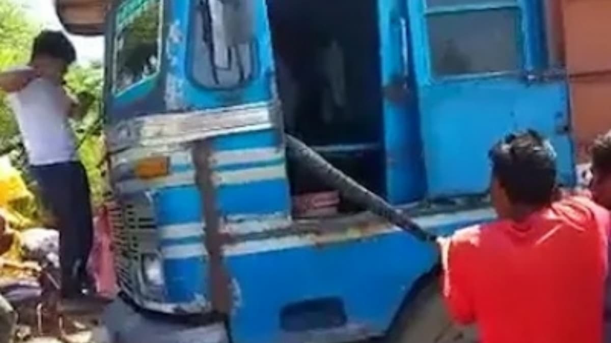 Giant Python on Truck: ট্রাক চালকের সিটের তলায় ১৫ ফুটের অজগর, তারপর যা হল.. Giant Python on Truck: ট্রাক চালকের সিটের তলায় ১৫ ফুটের অজগর, তারপর যা হল..