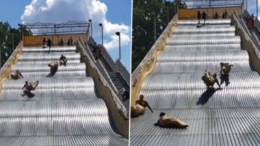 Giant Slide Shut Down In US: মার্কিন মুলুকে দৈত্যাকার স্লাইড রাইড যেন বিভীষিকা, দেখুন ভিডিও
