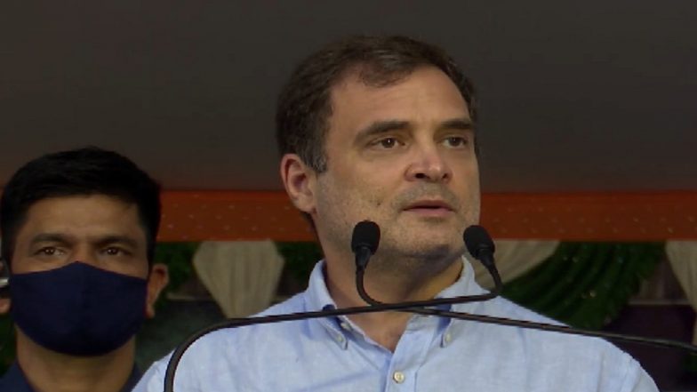 Rahul Gandi: 'ইডি দিয়ে ভয় দেখানো যাবে না, গণতন্ত্র রক্ষায় কাজ করবেন', বললেন রাহুল