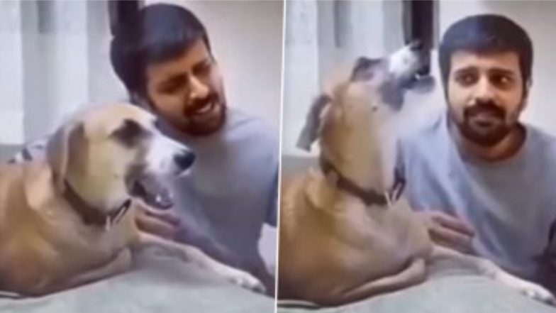 International Dog Day 2022: মালিকের সঙ্গেই তাল মিলিয়ে সুর করে গাইছে পোষ্য, ভাইরাল ভিডিও