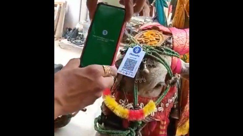 Viral Video: নগদ নেই? গরুকে দক্ষিণা দিন QR Code-এ, (ভাইরাল ভিডিও)