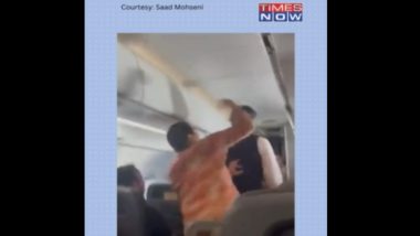 Passenger Punches Flight Attendant: বিশ্রামকক্ষ ব্যবহার নিয়ে মতবিরোধ, বিমানকর্মীকে ঘুষি মারলেন যাত্রী (দেখুন ভিডিও)