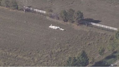 Colorado Planes Crash: আমেরিকার কলোরাডোতে মাঝ আকাশে দুটি বিমানের সংঘর্ষে ৩ জনের মৃত্যু, দেখুন ভিডিও