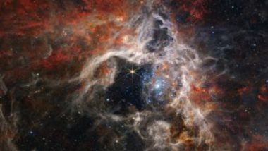 Cosmic Tarantula Nebula!: নাসার জেমস ওয়েব টেলিস্কোপে দেখা গেল কসমিক ট্যারান্টুলা নেবুলা
