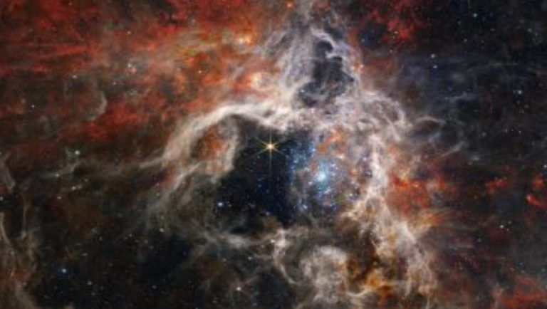 Cosmic Tarantula Nebula!: নাসার জেমস ওয়েব টেলিস্কোপে দেখা গেল কসমিক ট্যারান্টুলা নেবুলা