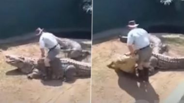 16-Foot Crocodile Attacks Zookeeper During Live Show: লাইভ শো চলাকালীন চিড়িয়াখানা কর্মীর উরুতে চড়ে বসল ১৬ ফুটের কুমীর! দেখুন ভিডিও