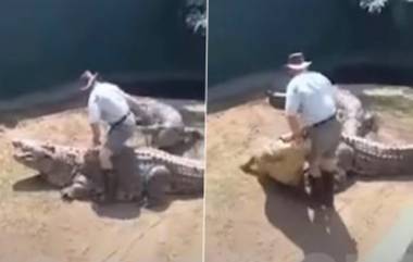 16-Foot Crocodile Attacks Zookeeper During Live Show: লাইভ শো চলাকালীন চিড়িয়াখানা কর্মীর উরুতে চড়ে বসল ১৬ ফুটের কুমীর! দেখুন ভিডিও