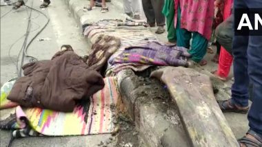 Delhi Road Accident: নিয়ন্ত্রণ হারিয়ে ডিভাইডারে উঠে পড়ল দ্রুত গতির ট্রাক, দিল্লিতে মৃত্যু ৪ জনের