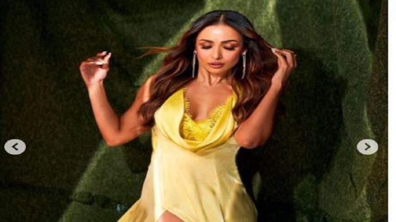 Malaika Arora: 'প্যান্ট পরতে ভুলে গিয়েছেন' বলে চরম কটাক্ষ মালাইকাকে, দেখুন ভিডিয়ো