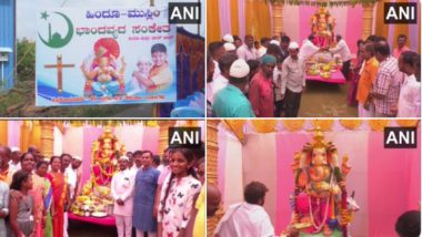 Karnataka: কর্ণাটকের মান্ডিয়ার গণেশ উৎসবে হিন্দু মুসলিমদের একত্রে উদযাপন, দেখুন ছবি