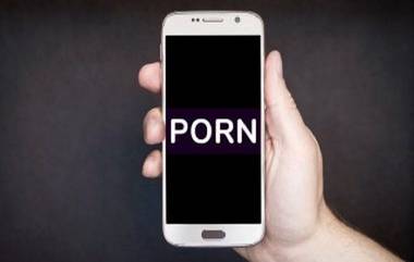 Pornographic Websites: নিয়ম ভাঙছে হরদম, পর্নোগ্রাফির ৭৬ ওয়েবসাইটকে 'ব্লকের' নির্দেশ কেন্দ্রের