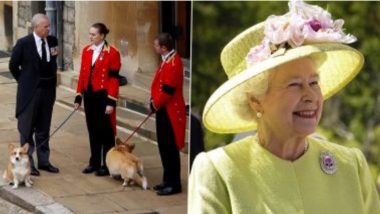 Corgis & Horses Attends Queen Elizabeth's Funeral Procession: রানির অন্তীম শোভাযাত্রায় অংশ নিল প্রিয় পোষ্য ঘোড়া ও কর্গিস কুকুরদ্বয় (দেখুন ভিডিও)
