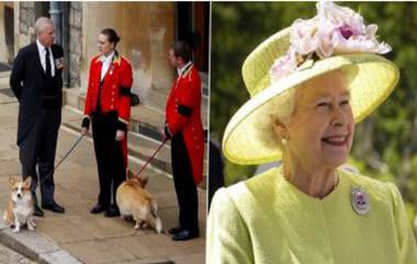 Corgis & Horses Attends Queen Elizabeth's Funeral Procession: রানির অন্তীম শোভাযাত্রায় অংশ নিল প্রিয় পোষ্য ঘোড়া ও কর্গিস কুকুরদ্বয় (দেখুন ভিডিও)