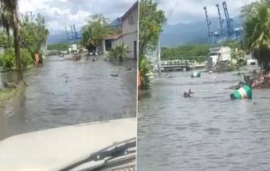 Tsunami In Mexico: ভূমিকম্পের আফটার শকে ধেয়ে এল সুনামি, জলে ভাসছে মেক্সিকোর পোর্ট মানজানিল্লো (দেখুন ভিডিও)