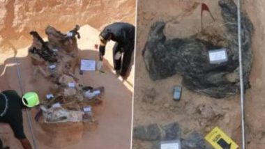 Libya Shocker: লিবিয়ায় ফের গণকবর থেকে উদ্ধার ১৫টি বেওয়ারিশ দেহ, দেখুন ভিডিও